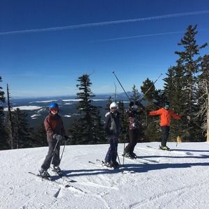 Meet your Posher, Lyn